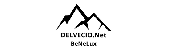 Delvecio.net